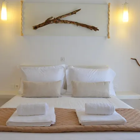 Niki Guest house *