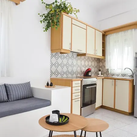 Niki Guest house *